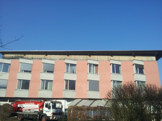 Schutznetzmontage ARTA Taubenabwehr Stuttgart